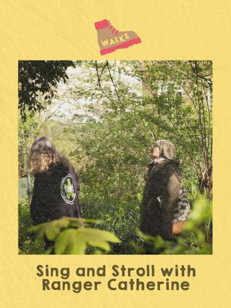 women walking in trees