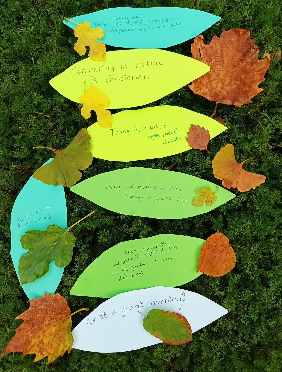 image of paper leaves with writing