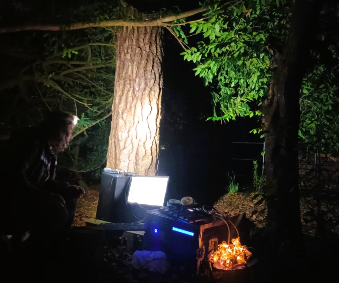 Sound artist using computer to place sounds around trees. Green leaves dipping down and golden light to lower Right hand side. Situated in twilight