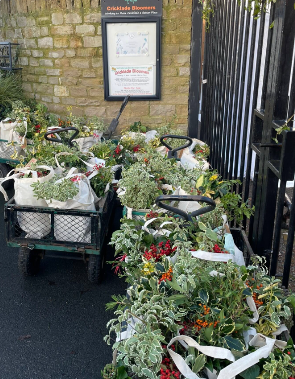 Wreath Kits