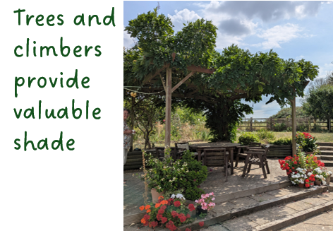 Gardening for Resilience - Keeping Cool1