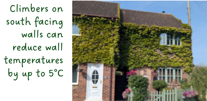 Gardening for Resilience - Keeping Cool2