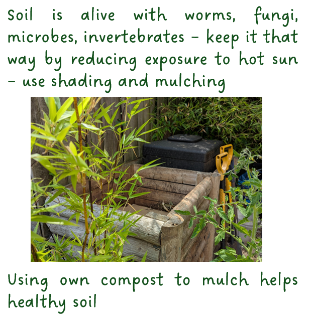 Gardening for Resilience - Protect Soil