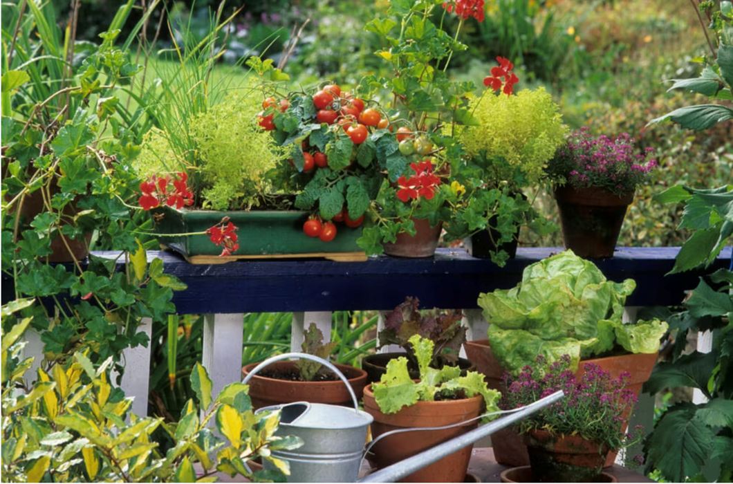 Grow_your_Own