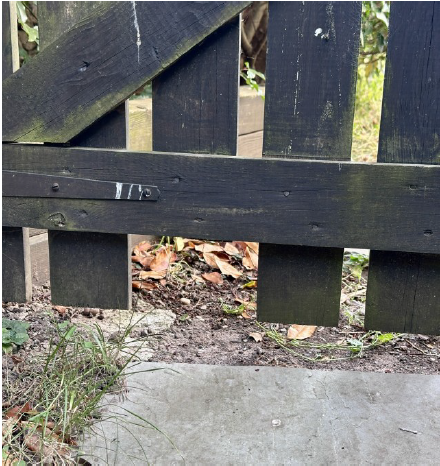 Hedgehog Gate