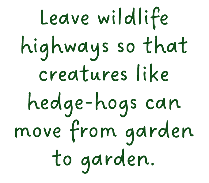 Wildlife Highways Text