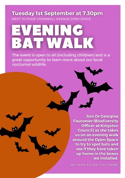 The poster used for the Bat Walk on 1st September 26