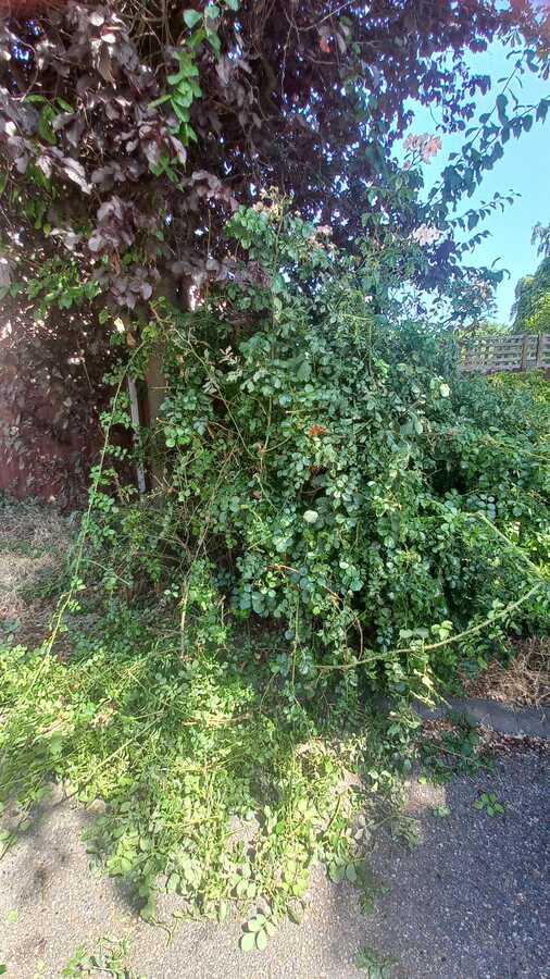 Before