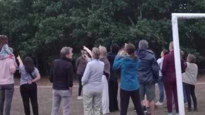 The group pointing to bats