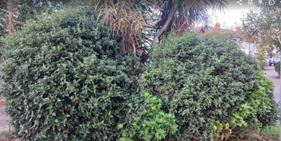 Corner of Tadworth Ave and Cavendish Road