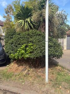 Corner of Tadworth and Cavendish - AFTER