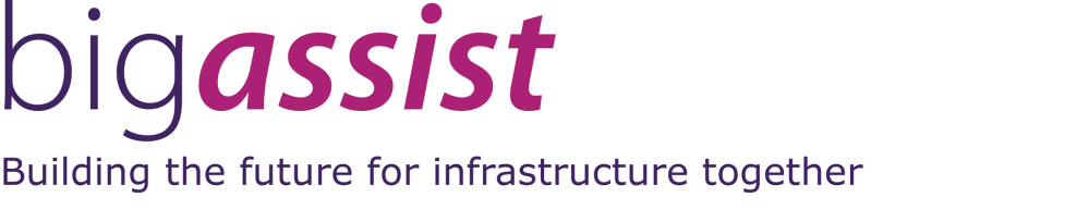 Big Assist logo