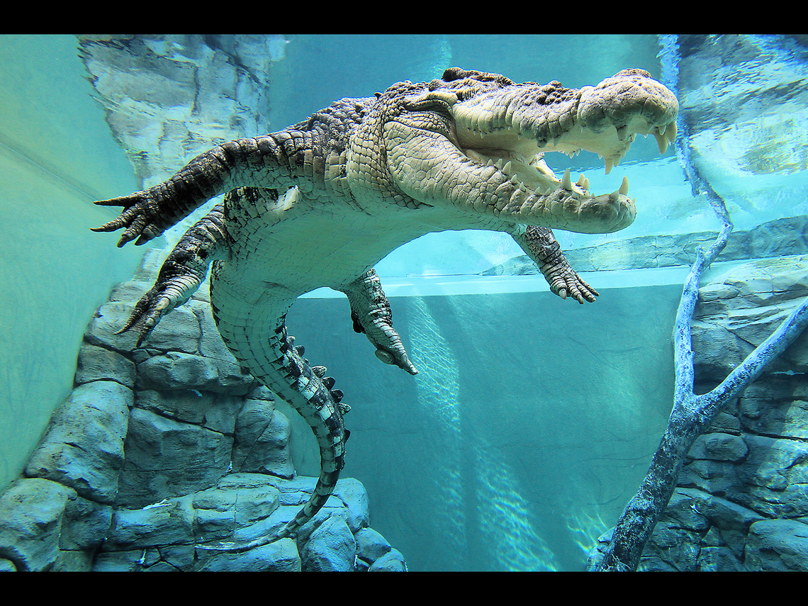 In a While by Rochelle Boardman