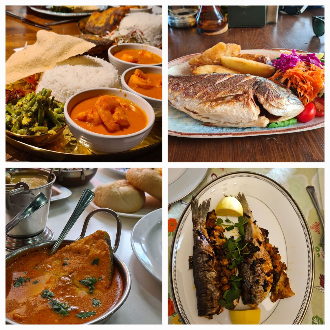Fish & Seafood