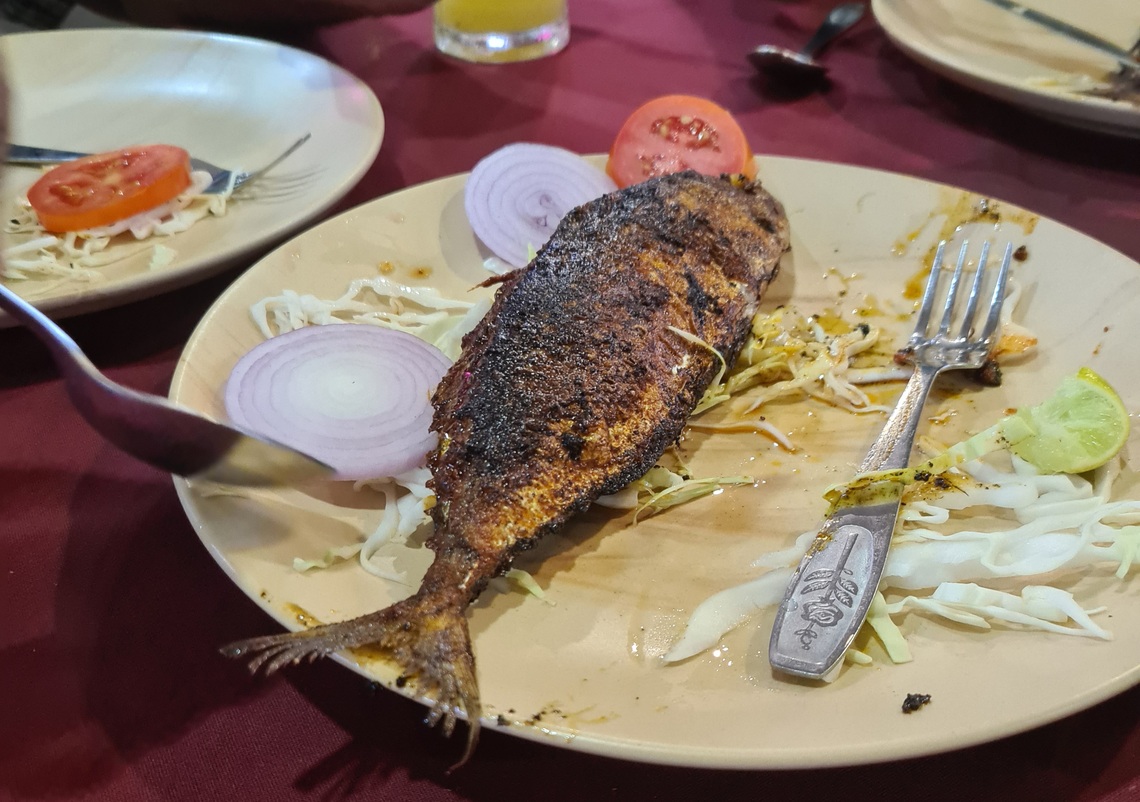 rechardo Mackerel