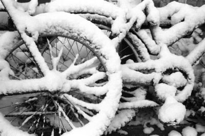 Bikes in the Snow