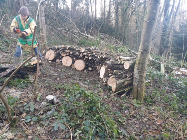 Building bug hotels.