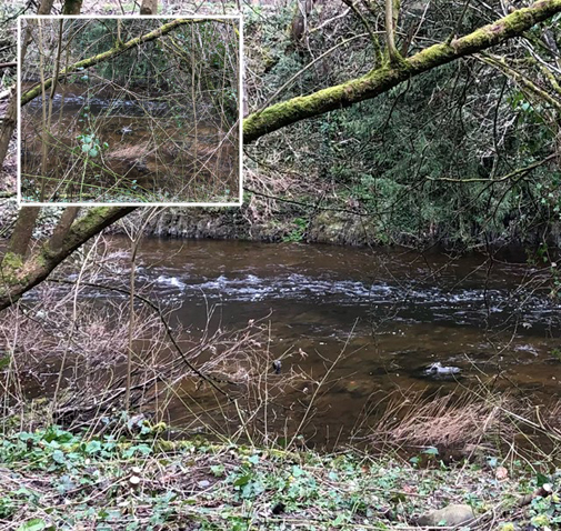 Thew view of the river from a bench has been improved by removing undergrowth