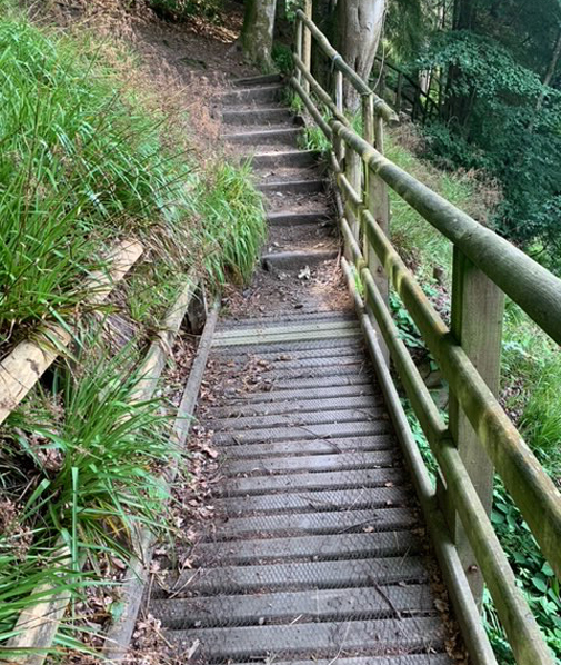 Bridge deck repaired with two new planks.