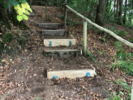 Repairs to wooden steps