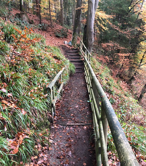 Bridge swept of falled leaves