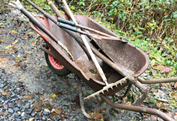 Old garden tools in a wheelbarrow.