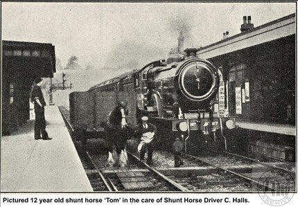 1920s LNER magazine clipping of Railway Shunt Horse 