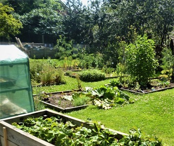 Allotment Isleworth