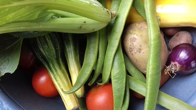 allotment produce