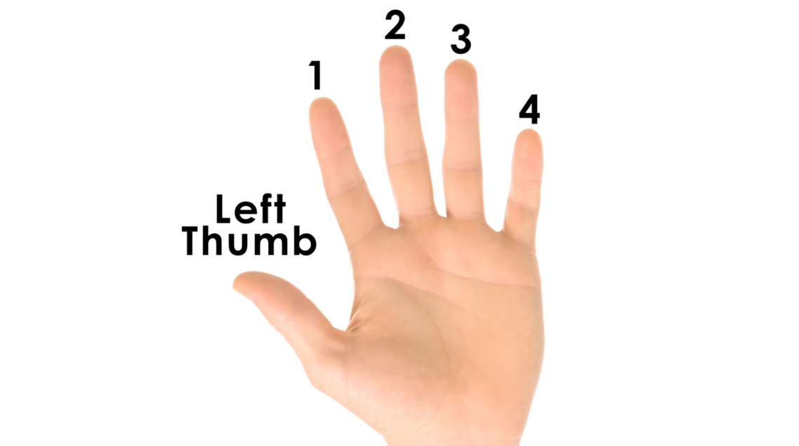 fingers