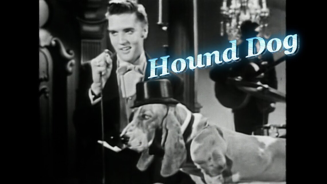 Hound Dog