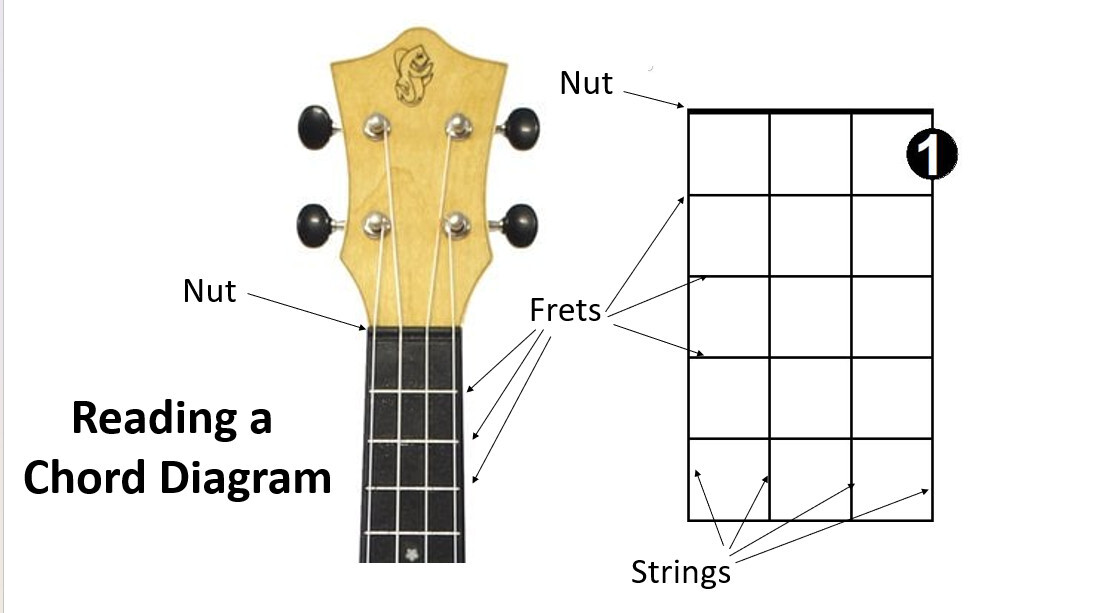 Reading a Chord Diagram