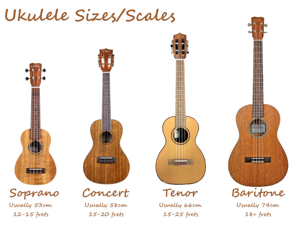 Ukulele Sizes - Doune Ukulele Group