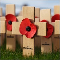 REMBERANCE POPPIES 01
