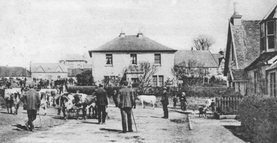 Cattle Market Main Street Drymen