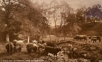 Near Balquhidder