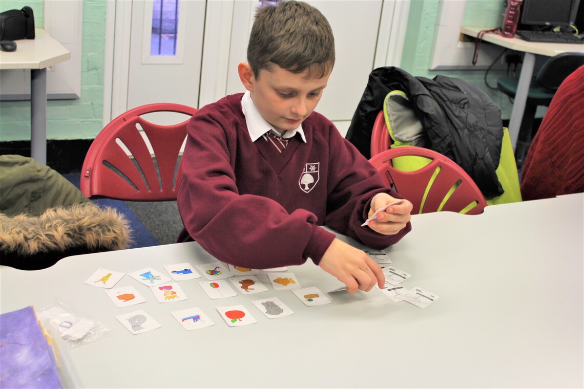 Child Sorting Picture Cards