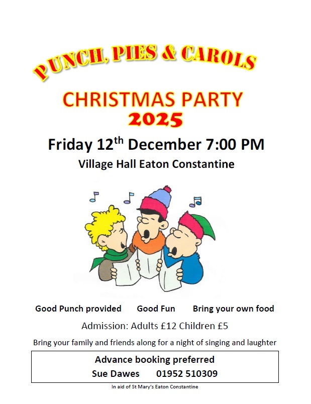 Poster for Christmas Event