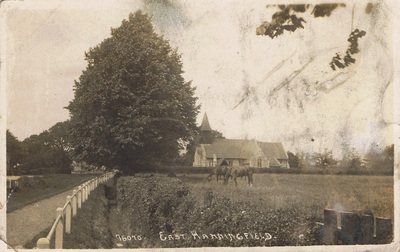 Horses Grazing near the Church (FS76070)