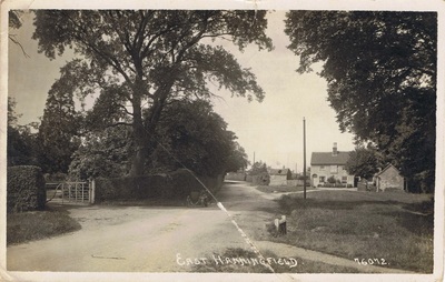 The North end of the Tye with the Three Horseshoes (FS76072)