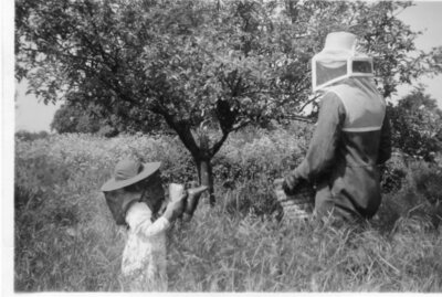 Beekeepers Desmond Ost and Martin Ost