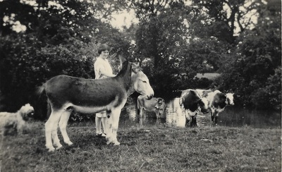 OST - Paddy with Donkeys - C1930