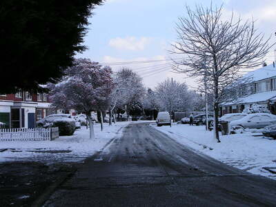 Ashley Green - December 2009