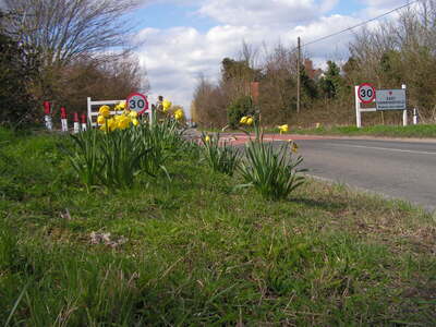 Village Gate - April 2006
