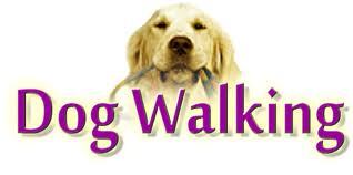 Dog Walking