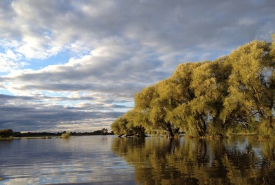 Stunning views of the water over the fields. 2012