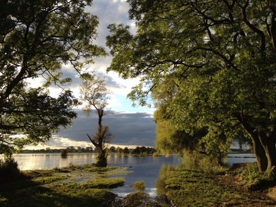 The lane disappearing into the floods. 2012