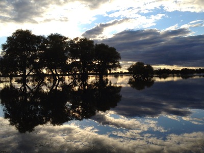 Dusk........... 2012 