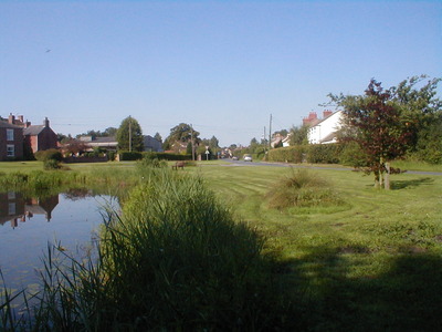 Our pond in Ellerton 2012