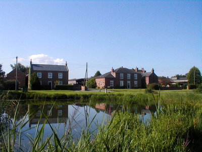 View from Ellerton pond